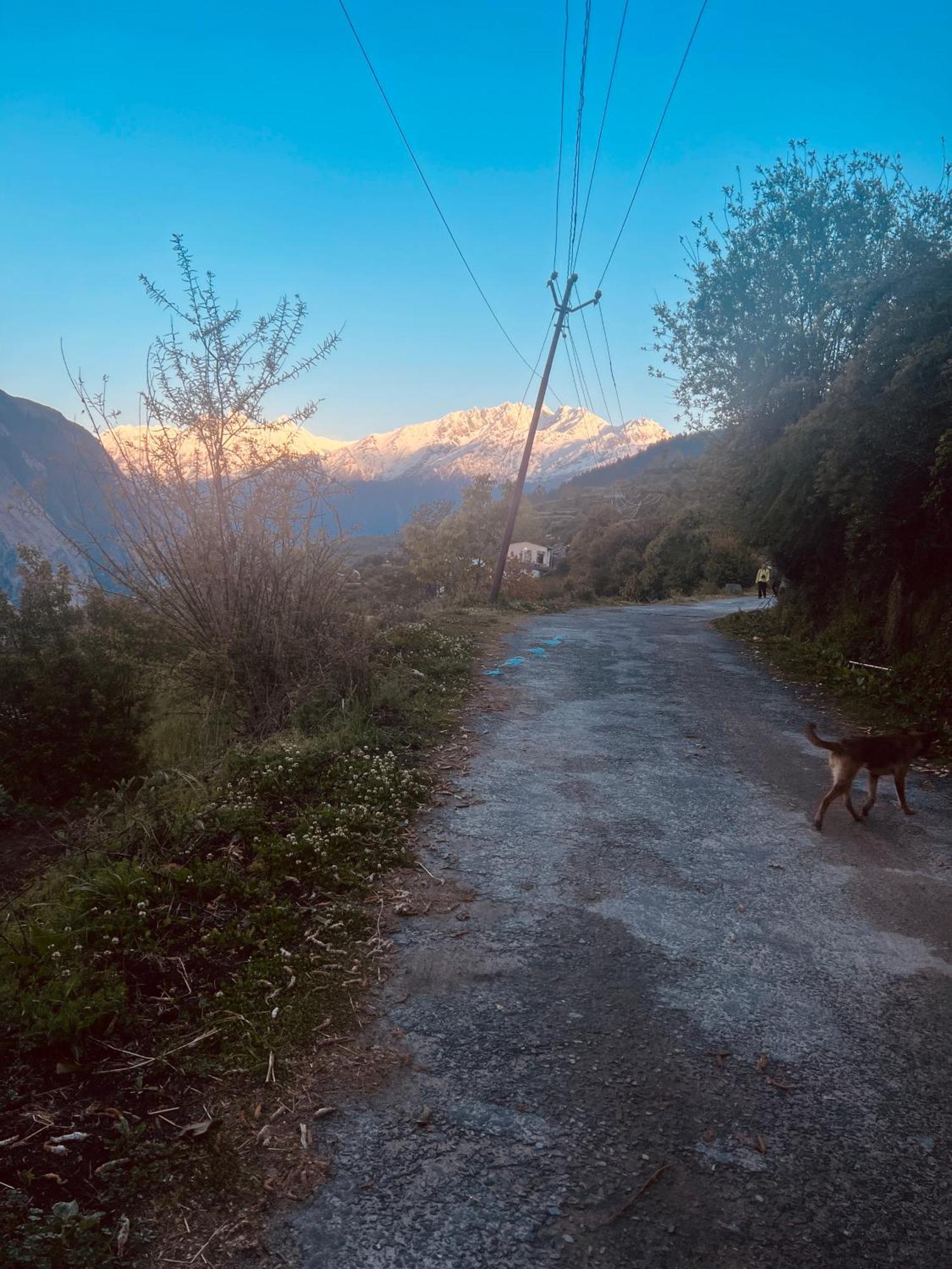 Faraway Cottages, Auli Joshīmath Exteriér fotografie