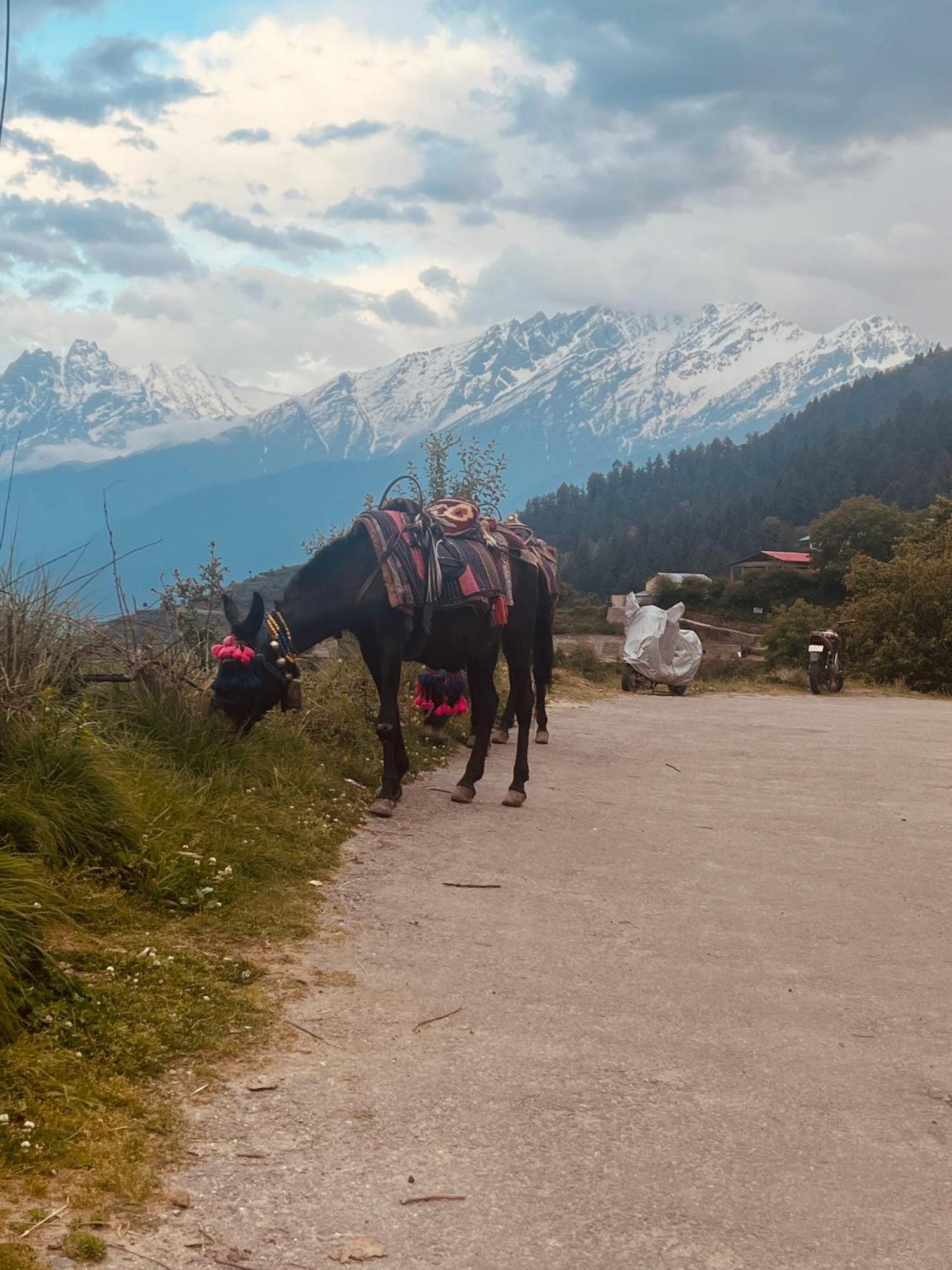 Faraway Cottages, Auli Joshīmath Exteriér fotografie