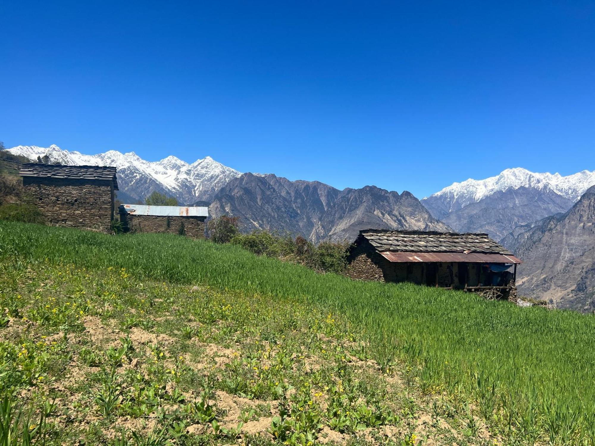 Faraway Cottages, Auli Joshīmath Exteriér fotografie