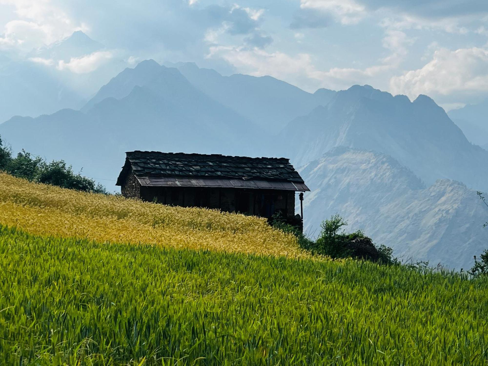 Faraway Cottages, Auli Joshīmath Exteriér fotografie